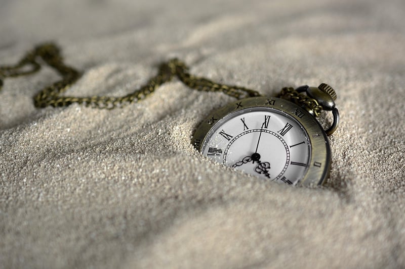 The Time Traveler's Wife